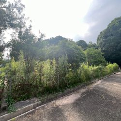 朝倉郡筑前町曽根田　売地　66坪 画像6